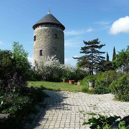 Au Moulin Geant Bed & Breakfast Rochefort-sur-Loire Bagian luar foto