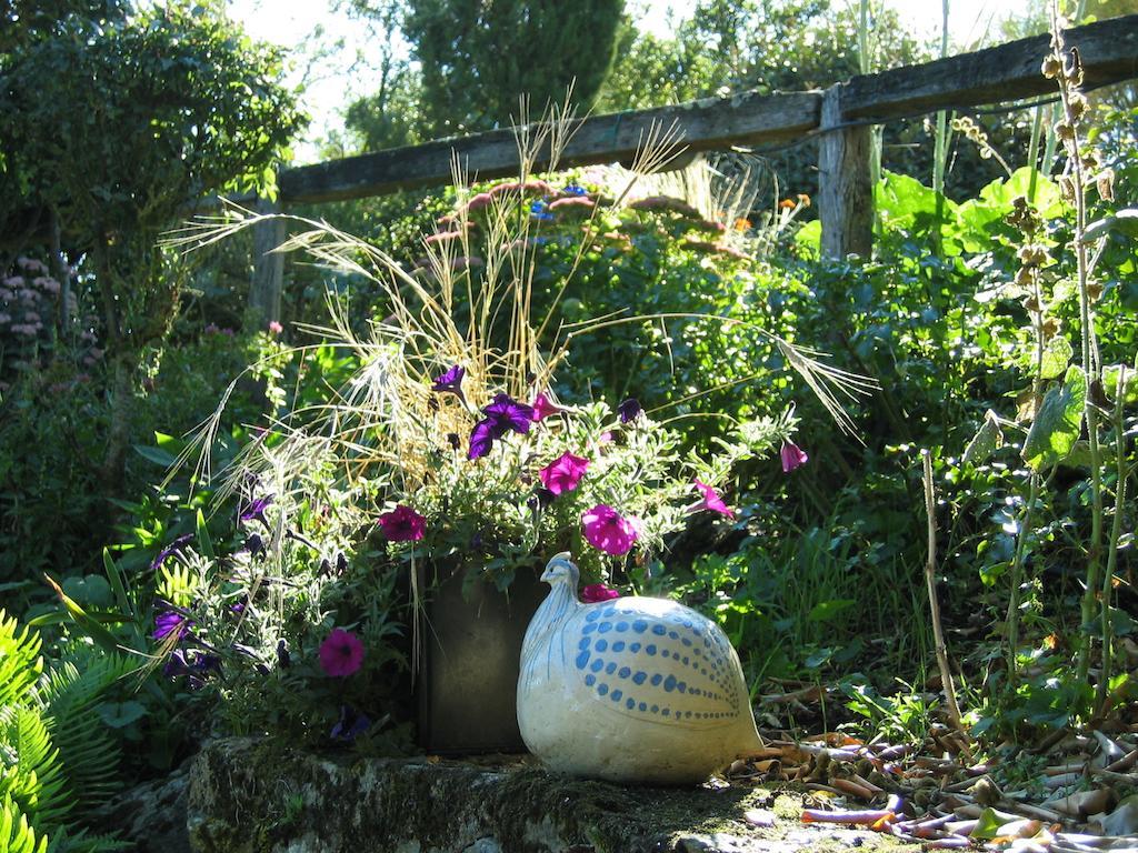 Au Moulin Geant Bed & Breakfast Rochefort-sur-Loire Bagian luar foto