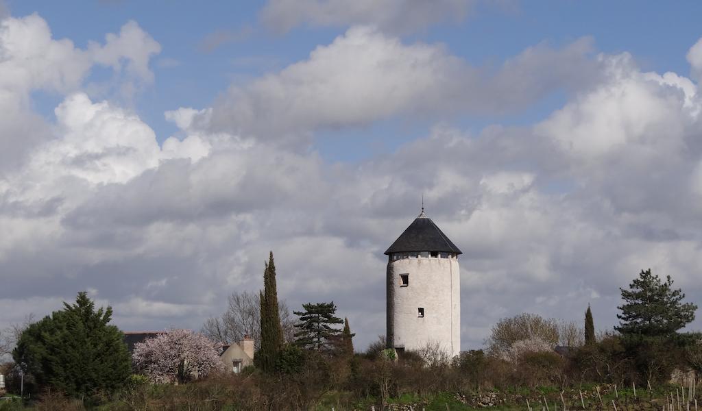 Au Moulin Geant Bed & Breakfast Rochefort-sur-Loire Bagian luar foto