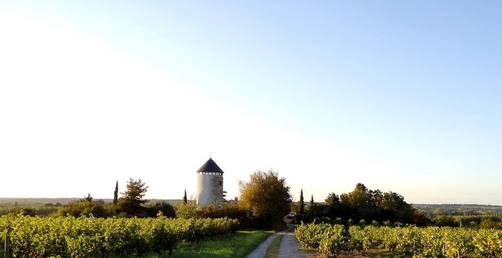 Au Moulin Geant Bed & Breakfast Rochefort-sur-Loire Bagian luar foto