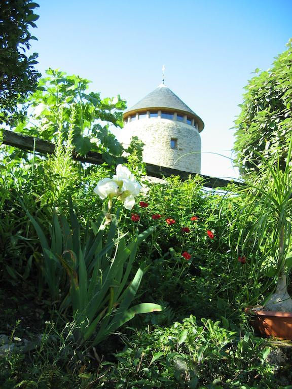 Au Moulin Geant Bed & Breakfast Rochefort-sur-Loire Bagian luar foto