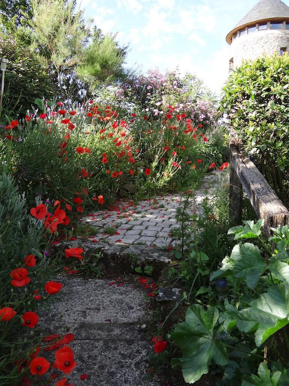 Au Moulin Geant Bed & Breakfast Rochefort-sur-Loire Bagian luar foto