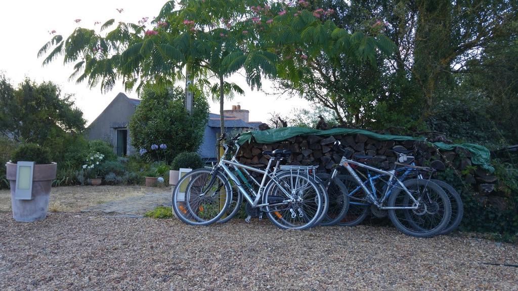 Au Moulin Geant Bed & Breakfast Rochefort-sur-Loire Bagian luar foto